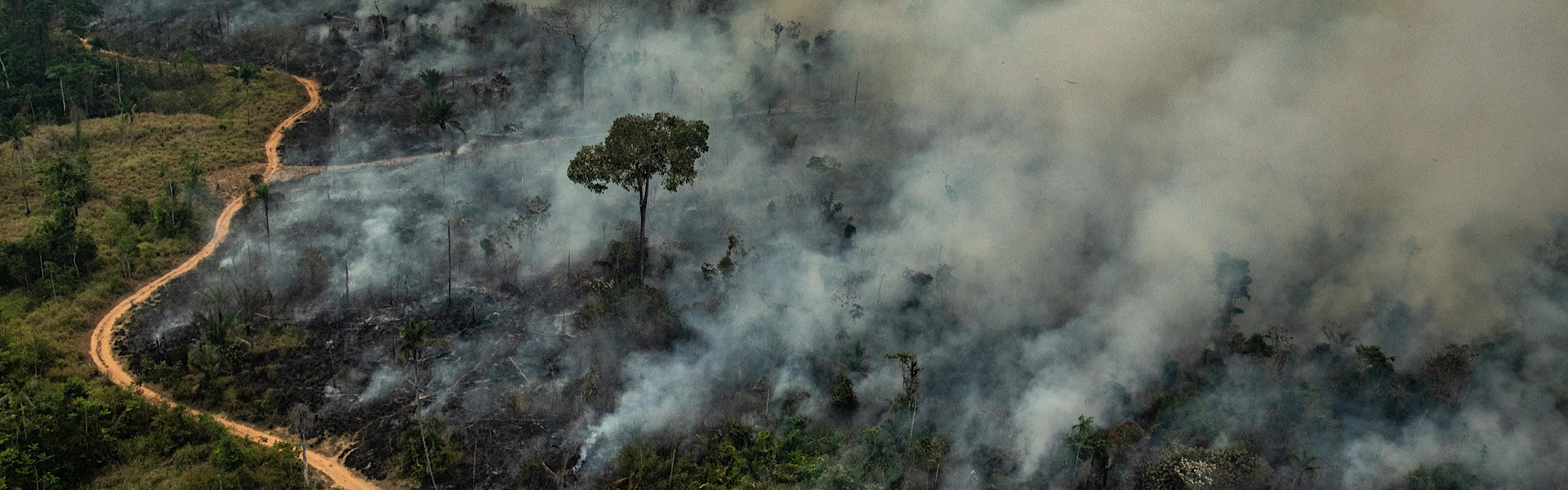 O Brasil está em chamas! Fumaça das queimadas na Amazônia chega até o Rio Grande do Sul!