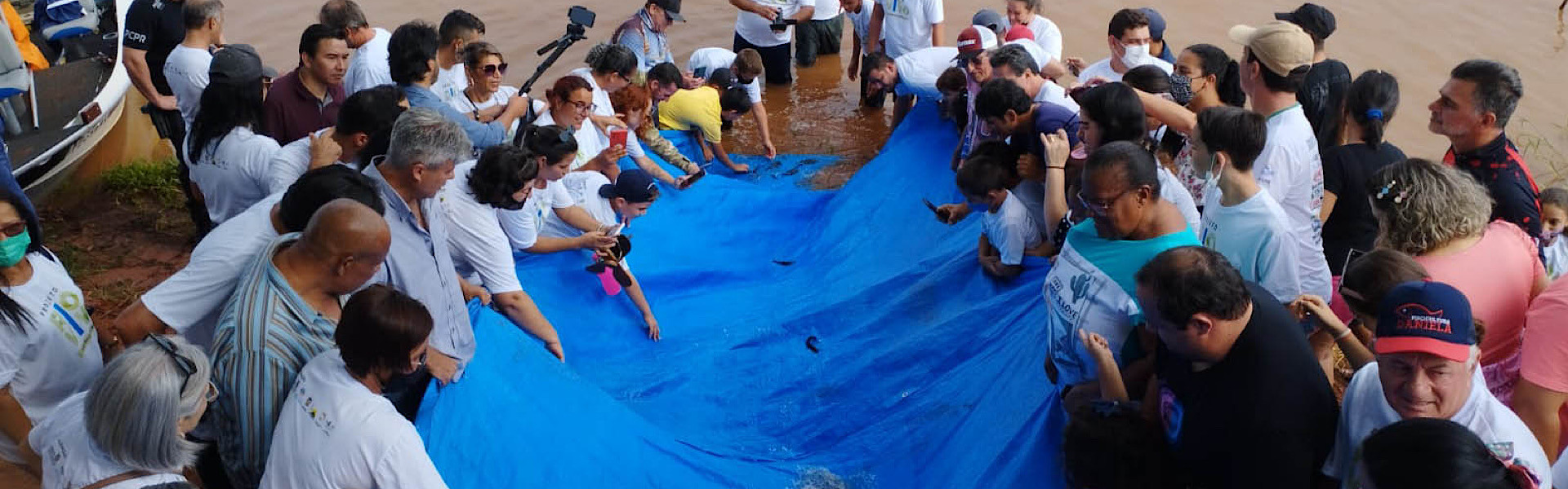 Quase 3 milhões de peixes soltos nas bacias hidrográficas do Paraná na segunda fase do Projeto Rio Vivo. Foto: SEDEST / PARANÁ.