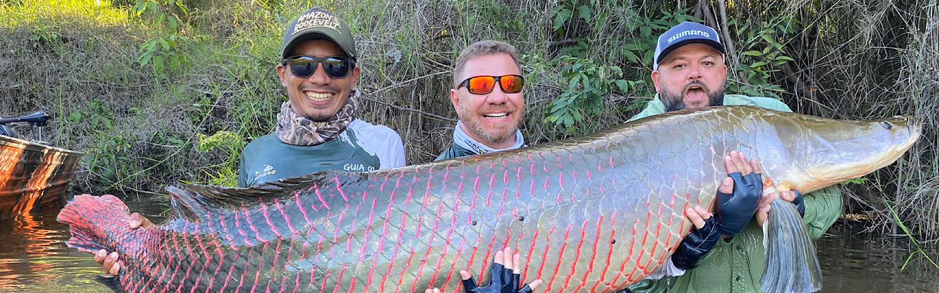 Biodiversidade de peixes no Brasil: um mergulho no potencial sustentável do país. Foto: BGFA Recordes.