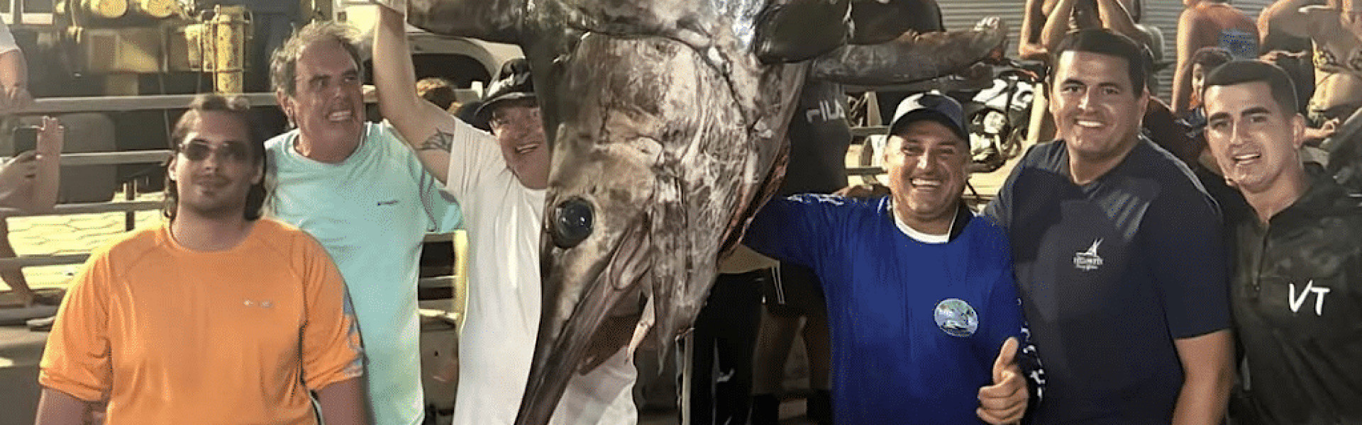 Gigante de 328kg: peixe meca é capturado em Guarapari, mas não sobrevive. Foto: Reprodução / Redes Sociais.