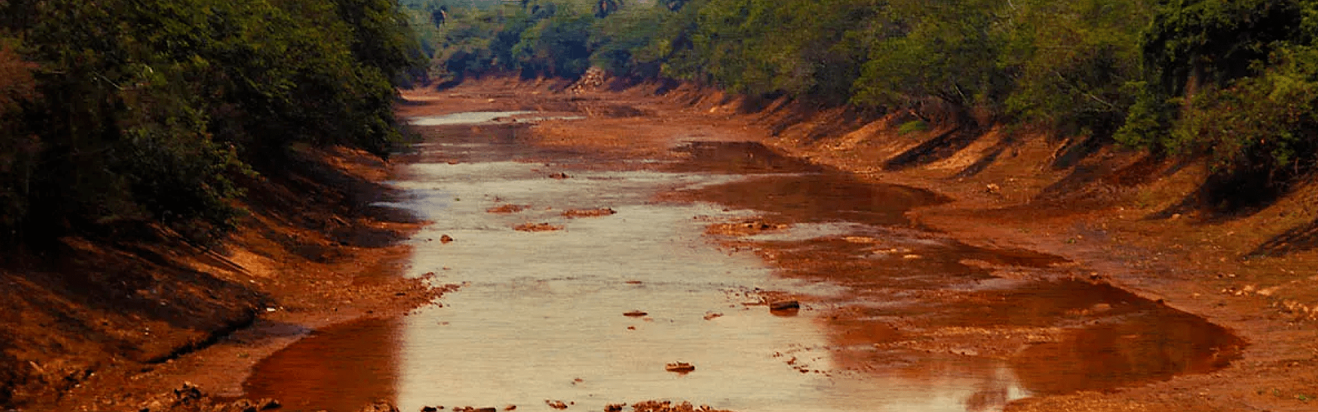 Brasil perdeu quase um terço de sua superfície de água nos últimos 40 anos