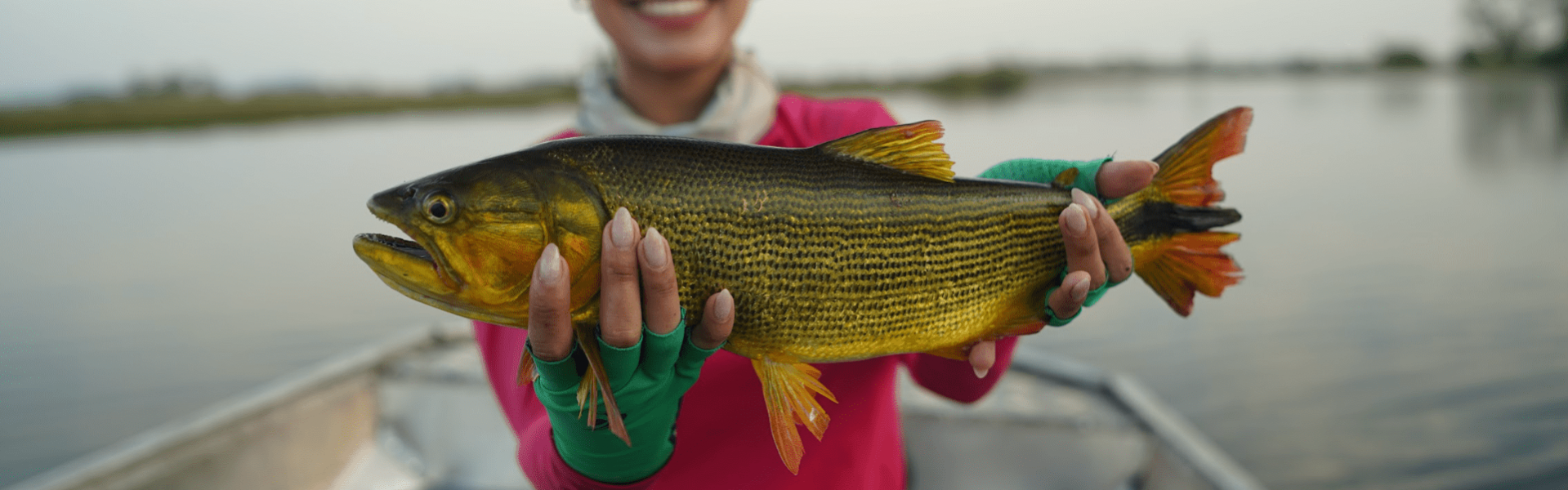 Pescadores esportivos criam abaixo-assinado contra proposta de alteração de leis de pesca em Mato Grosso do Sul. Foto: Fish TV.