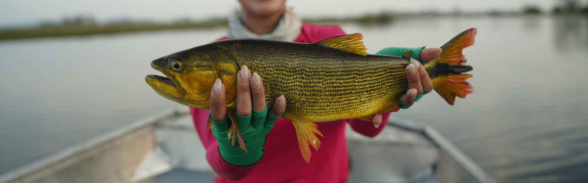 “Não vai faltar peixe”, diz deputado que apresentou projeto de Cota Zero no Mato Grosso do Sul