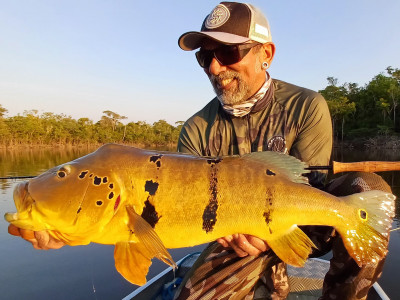 Tucunaré Pinima de 74cm de Kid Ocelos é Recorde Brasileiro no Fly