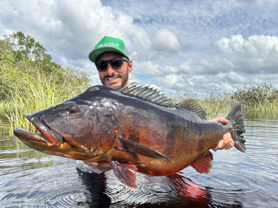 Fish TV: onde assistir os melhores conteúdos de pesca esportiva?