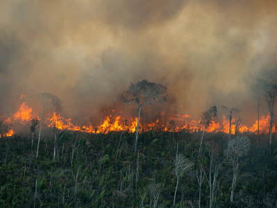 Amazônia: mancha de fogo de 500km de extensão e 400km de largura toma conta do bioma