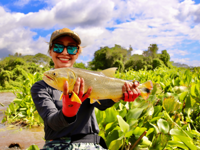 VAMOS FALAR SOBRE O PANTANAL?