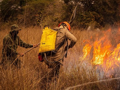 Apresentadores da Fish TV testemunham incêndios no Pantanal; confira relatos