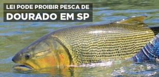 Será votado nesta sexta, o projeto que proíbe a pesca de dourado no Estado de São Paulo