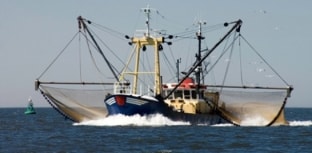 Google fará monitoramento de embarcações no combate à pesca ilegal