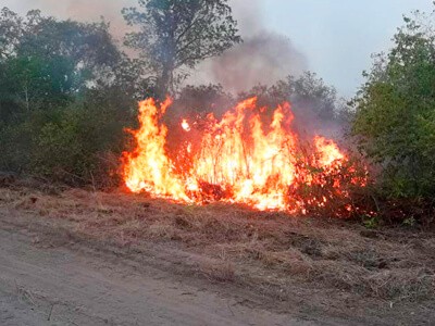 Pantanal em chamas preocupa autoridades e setor turístico