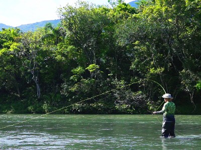 Recorde mundial na pesca de Fly: Tucunaré de 91 centímetros é o maior da  categoria All-Tackle