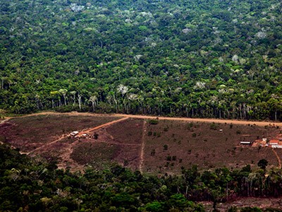 Desmatamento na Amazônia é o maior dos últimos dez anos