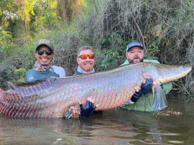 Biodiversidade de peixes no Brasil: um mergulho no potencial sustentável do país. Foto: BGFA Recordes.