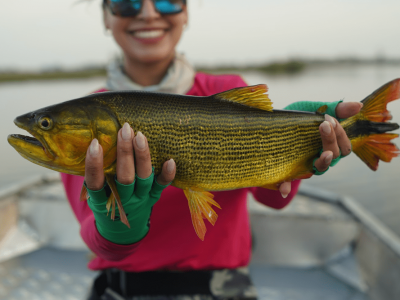 Pescadores esportivos criam abaixo-assinado contra proposta de alteração de leis de pesca em Mato Grosso do Sul. Foto: Fish TV.