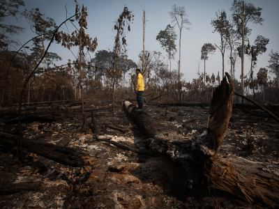 Queimadas e desmatamento: as ações prometidas para a Amazônia em 2025 para frear desastres. Foto: a imagem foi originalmente postada no Flickr pela Agência Amazônia Real em https-//flickr.com/photos/135932571@N06/50223694778. Foi revisado em 10 de feverei