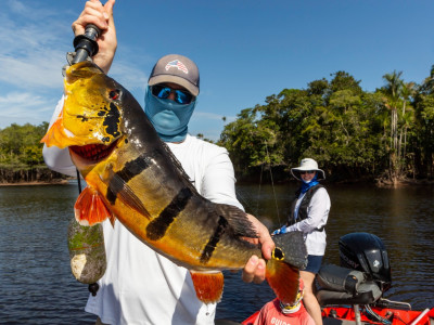 Sustentabilidade e negócios: como unir preservação e rentabilidade no turismo de pesca esportiva?. Foto: Divulgação / AmazonasTur.