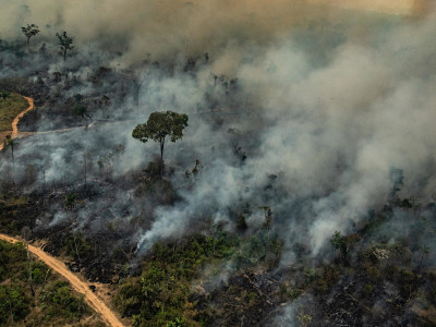 O Brasil está em chamas! Fumaça das queimadas na Amazônia chega até o Rio Grande do Sul!