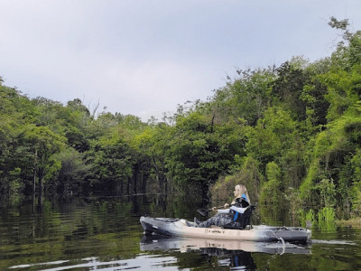 AMAZÔNIA: POR QUE VISITAR?