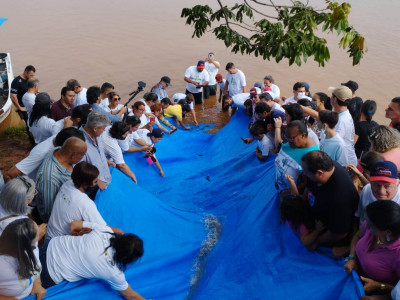 Quase 3 milhões de peixes soltos nas bacias hidrográficas do Paraná na segunda fase do Projeto Rio Vivo. Foto: SEDEST / PARANÁ.