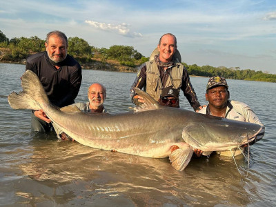 Dois pescadores pegam Piraíba recorde de mesmo tamanho: 217 cm