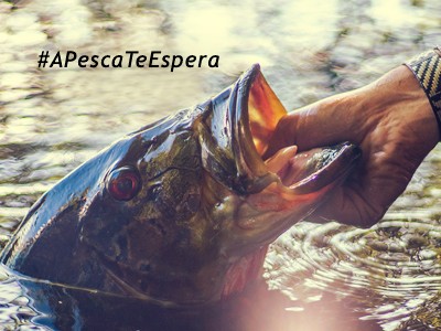 Editorial - Uma Carta Para a Humanidade #APescaTeEspera