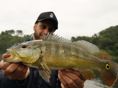 Segunda temporada de Natureza Urbana estreia focada nas pescarias acessíveis